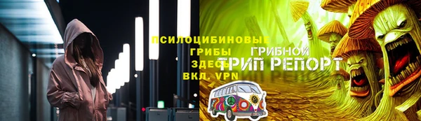 хмурый Абаза