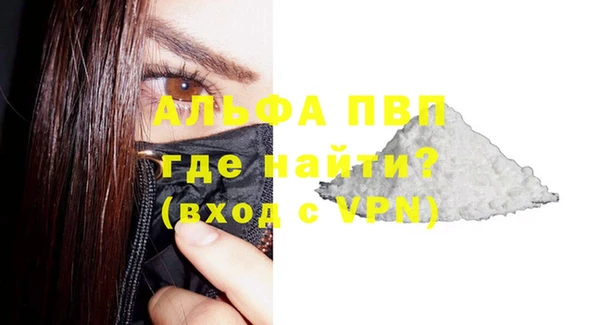 хмурый Абаза
