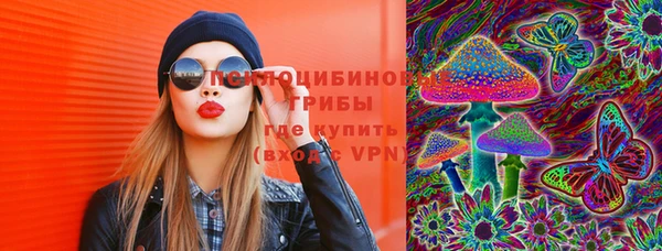 хмурый Абаза