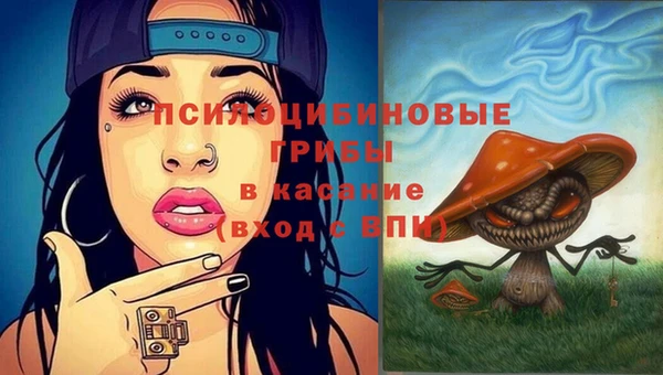 хмурый Абаза