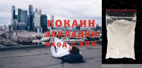 хмурый Абаза